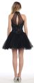 Halter Neck Lace Bodice Mesh Short Homecoming Party Dress back